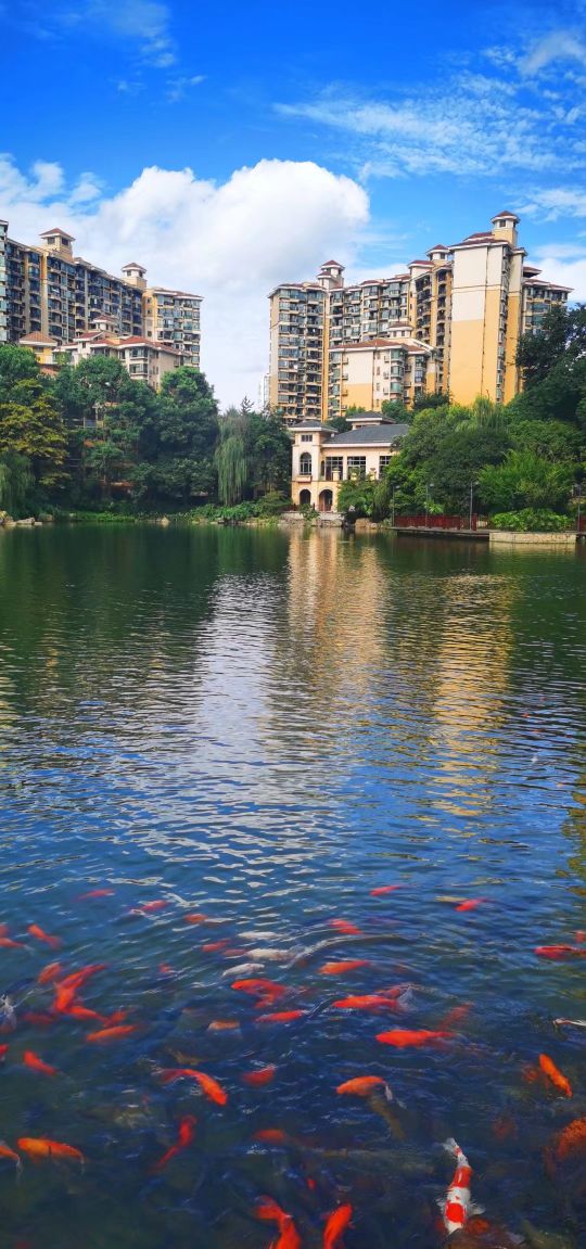 东骏湖景湾,东骏湖景湾209平