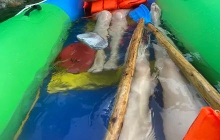 南方妹子真的温柔吗,南方姑娘真的温柔吗