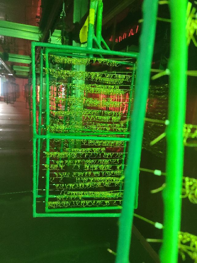 青岛天元工艺品有限公司,青岛瑞祥工艺品有限公司