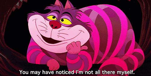 十大名猫动漫,动漫排行榜前十名京剧猫