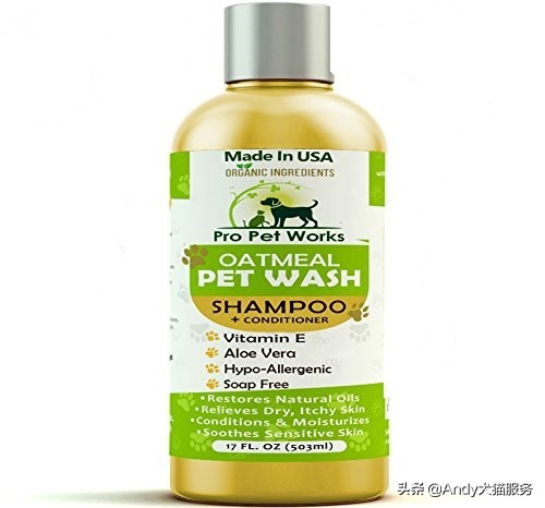 爱犬皮肤干燥需要被重视