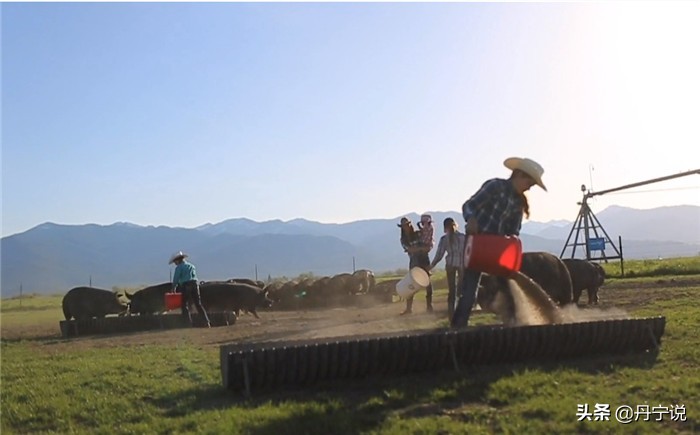 当美国爆发冠状病毒，加州农场主玛丽的繁忙工作和牛仔穿搭