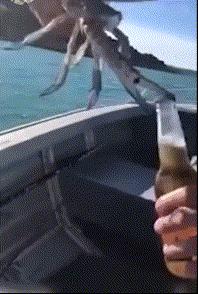 搞笑gif段子不由自主的咽了下口水,搞笑gif吃饭要优雅我真的做到了