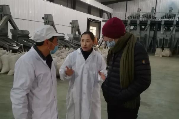 农村籍大学生回乡创业,90后大学生放弃工作回农村创业