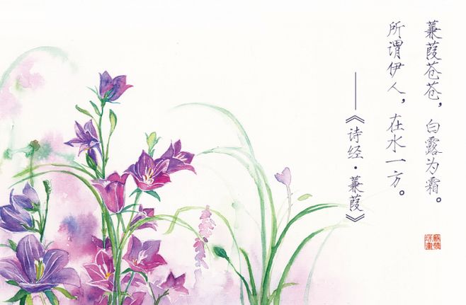 诗经里最美的50首诗句,诗经中十大绝美诗句欣赏