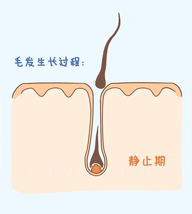 胸部排毒疏通手法,胸部排毒疏通手法完整版