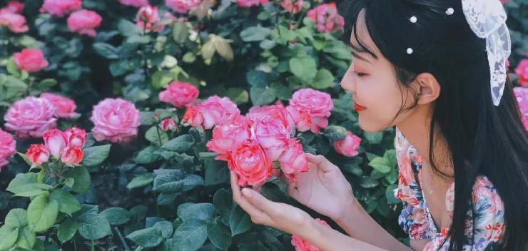 私藏拍照最好的地方,天津适合拍照又安静的地方