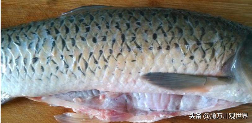 万州烤鱼祖传做法,中国有名的烤鱼做法正宗