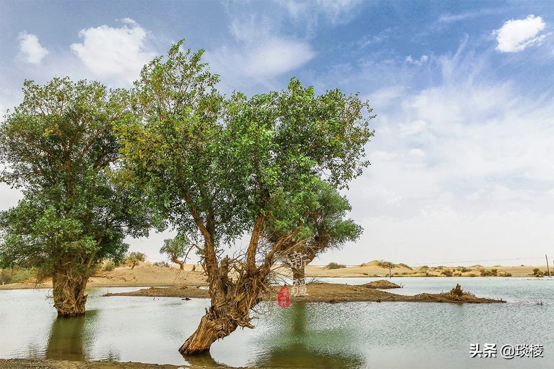 中国66号公路旅游攻略,中国自驾游66条经典线路