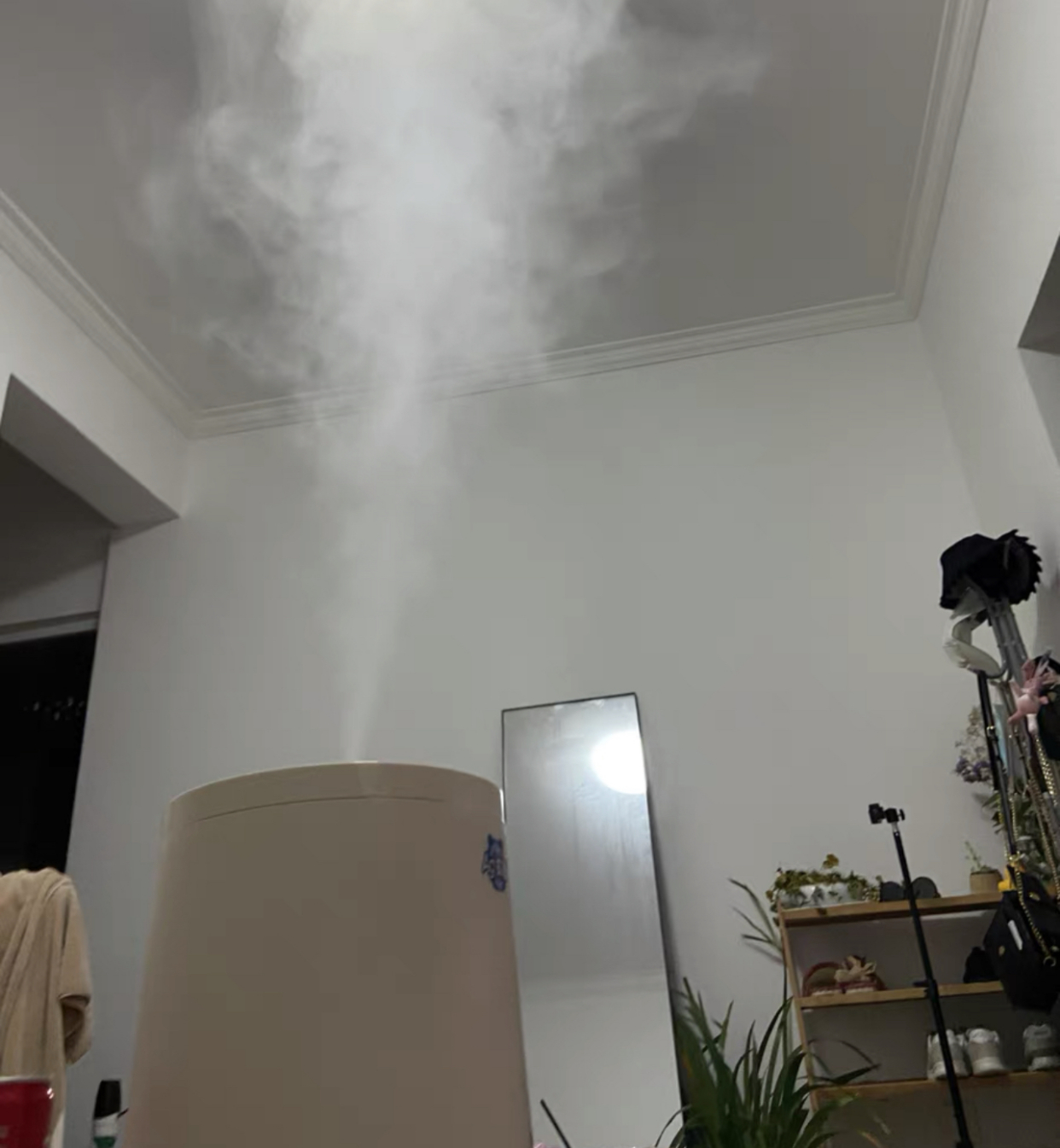 屋里毛毛灰尘很多怎么处理,为什么屋子里灰尘毛絮多