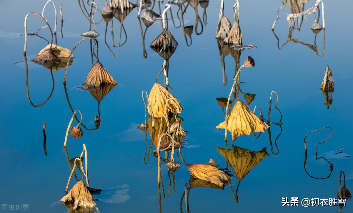 李商隐10首经典诗词鉴赏,李商隐最美的十首诗解读