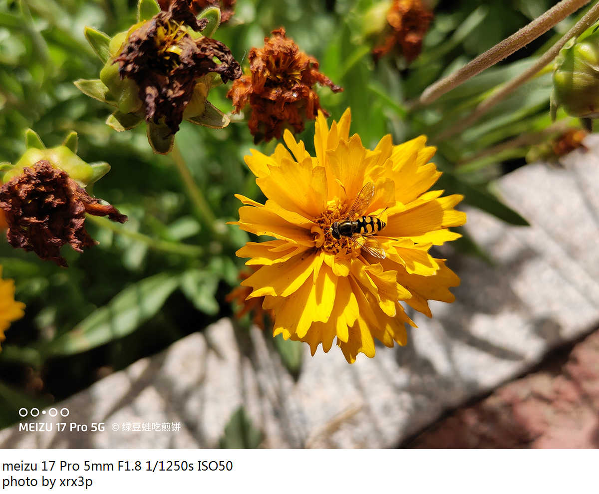 魅族17pro拍照怎么用,魅族17pro拍照体验