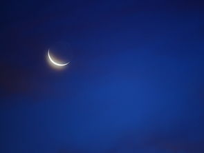 秋之思36——枫丹,白露,月如钩