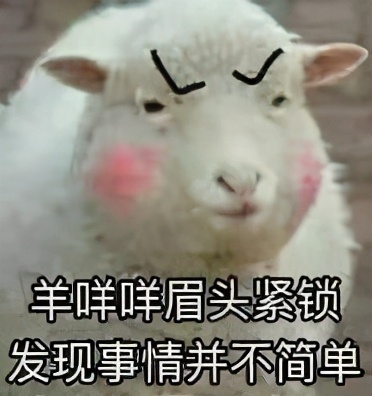 05后的聊天暗号,05后聊天暗号