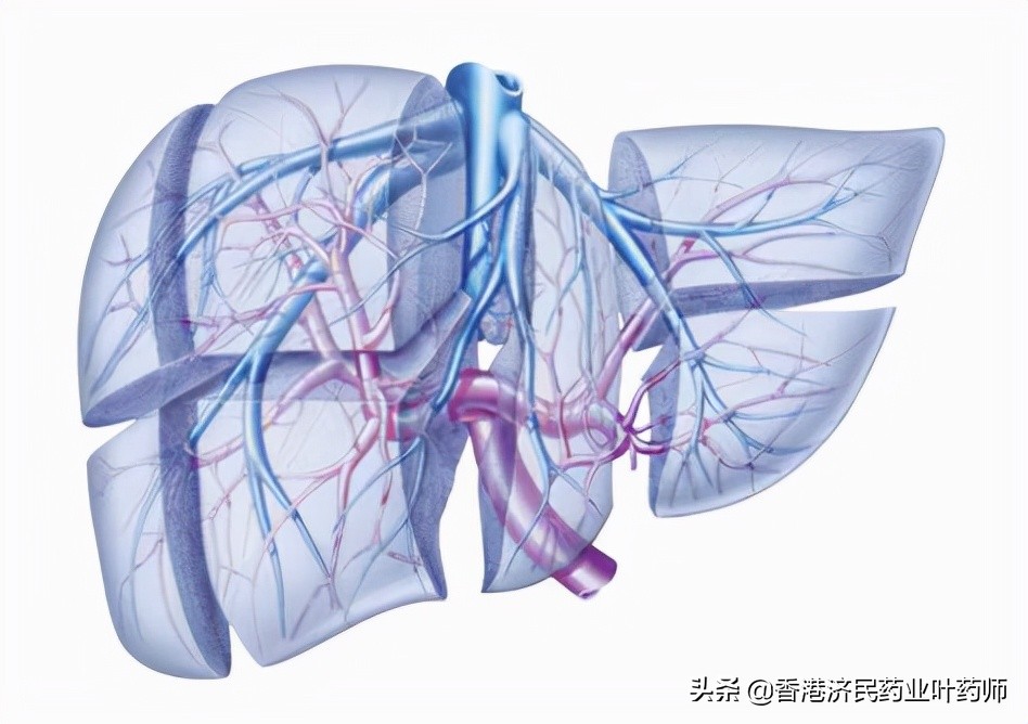 胆管癌fgfr2基因突变有靶向药吃吗,fgfr肝内胆管癌靶向药