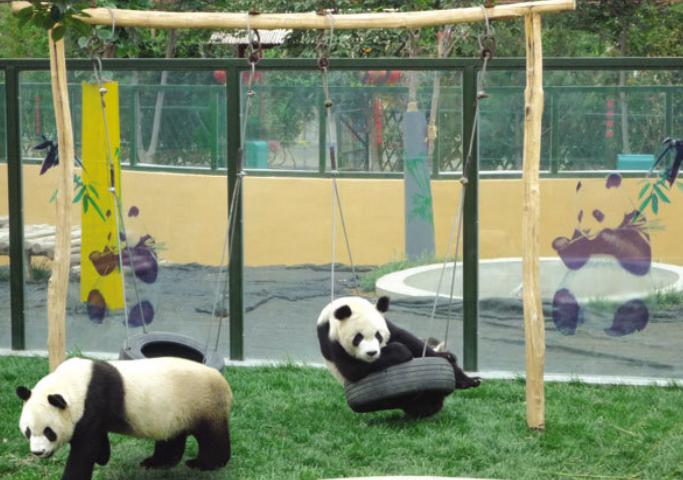 潍坊金宝乐园好去处,潍坊金宝乐园里面都是有啥