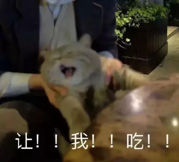 医生有点皮,医生很皮