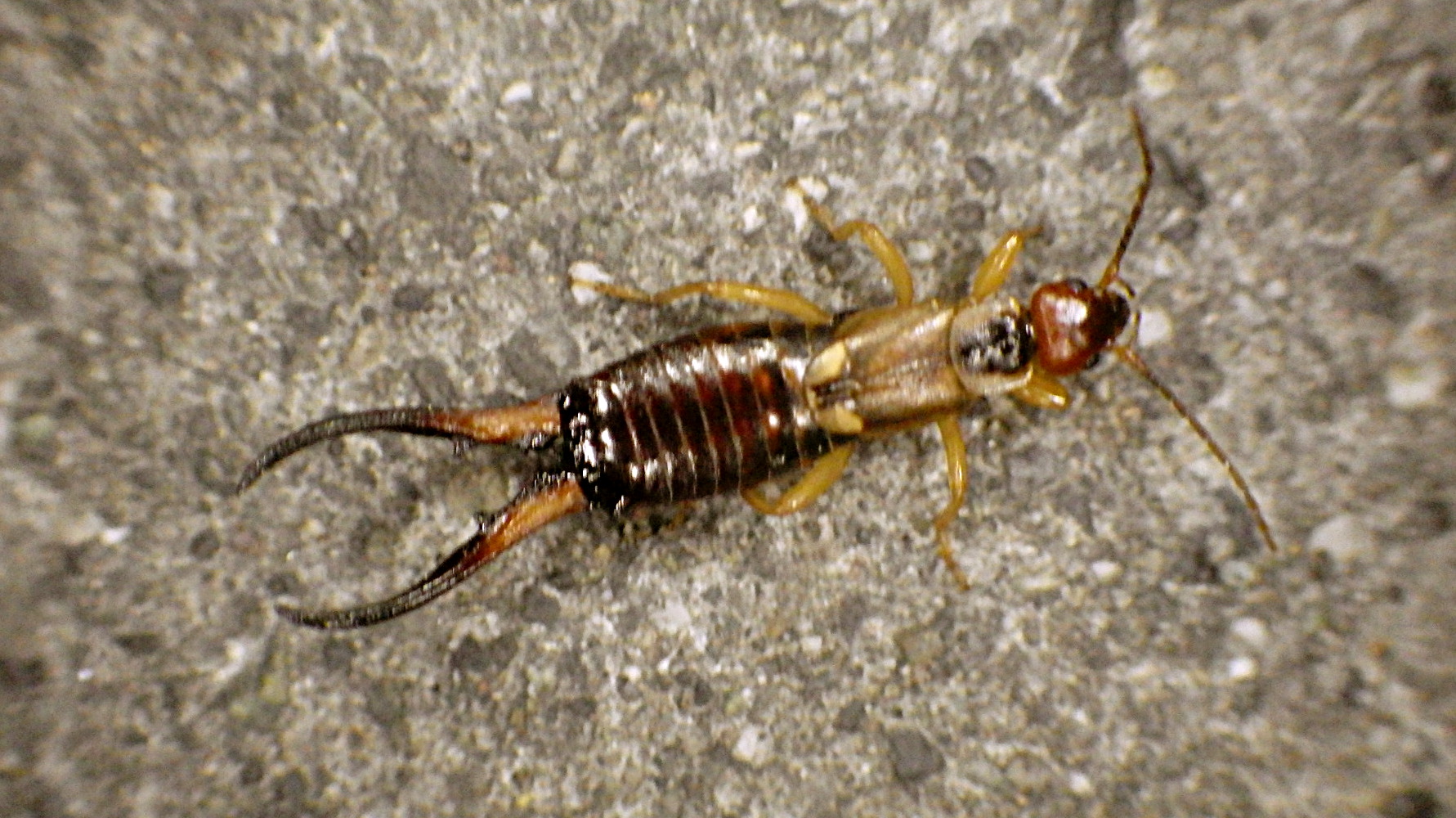 15篇英语读书笔记好词好句,英语读书笔记摘抄单词大全