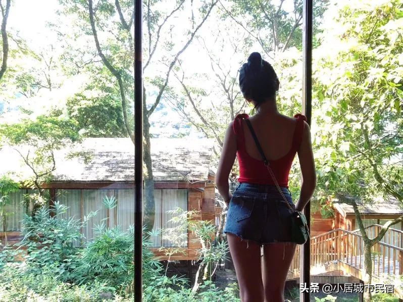 从化旅游景点大全樱花,从化樱花旅游景点