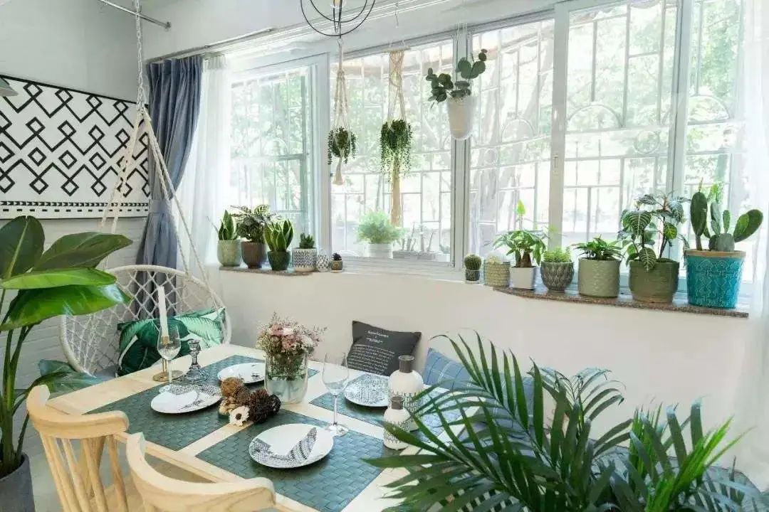 除甲醛最好的花是什么品种,房间养什么花可以除甲醛味