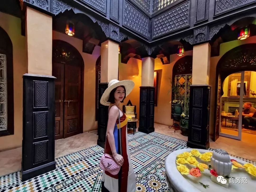 lv是软还是硬,lv是不是从不打折