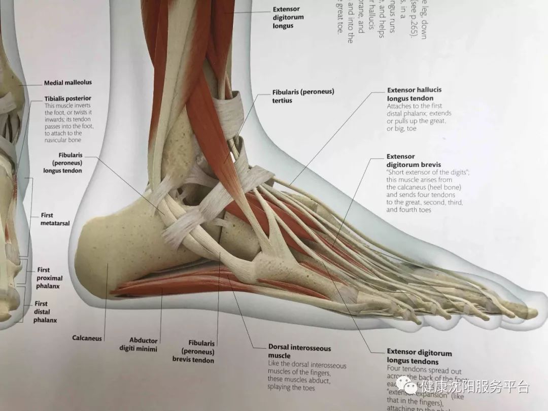 这种女人身姿婀娜，却暗藏危机！接连到沈医附属中心医院就诊…