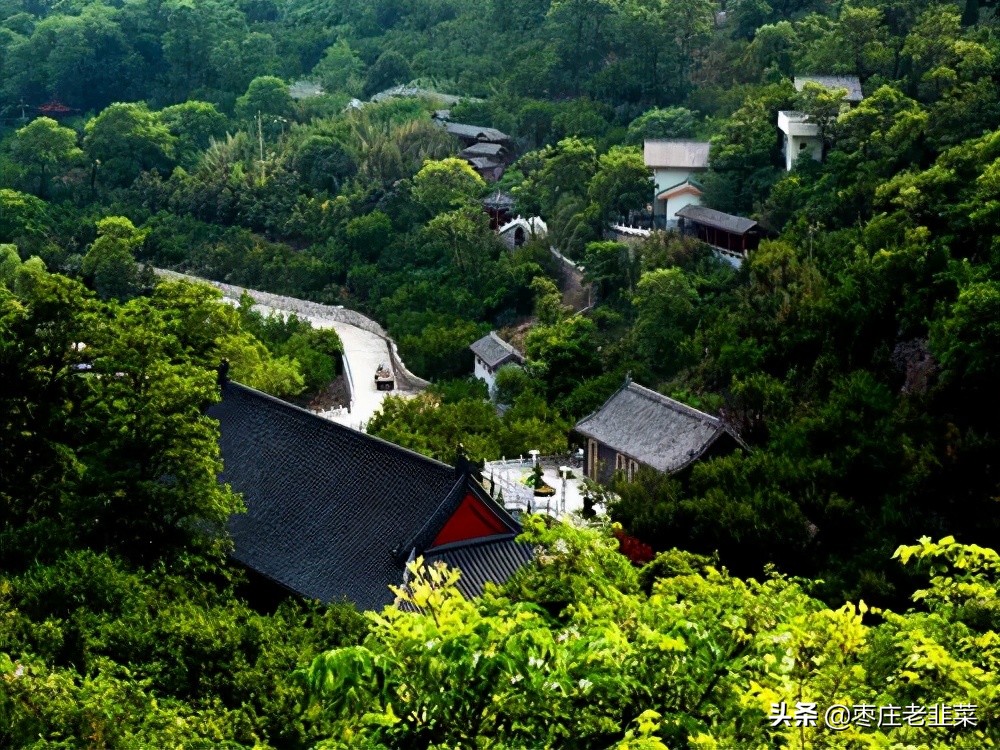 枣庄市中区房价会暴跌么,枣庄房价一般多少钱一平