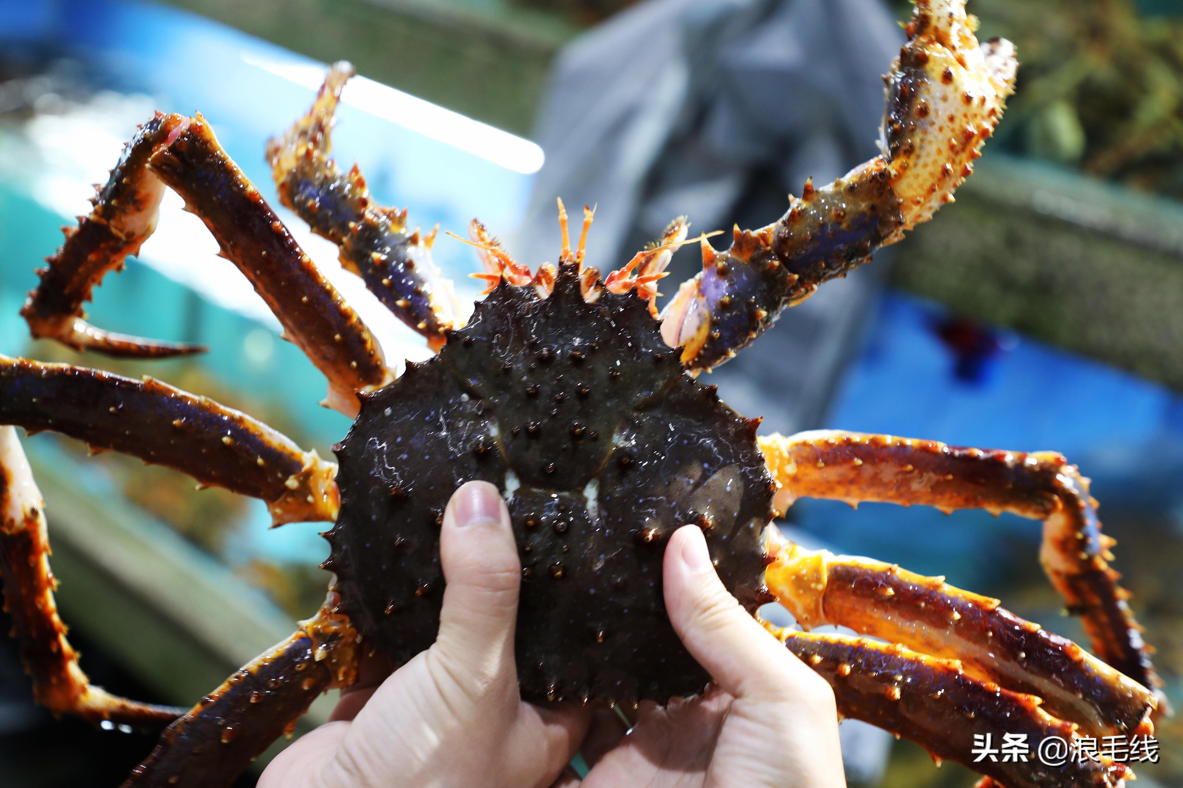 三亚海棠湾自由行热门攻略,那年夏天那片海简介
