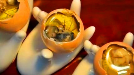 你吃过毛蛋吗,你们有吃过毛蛋吗