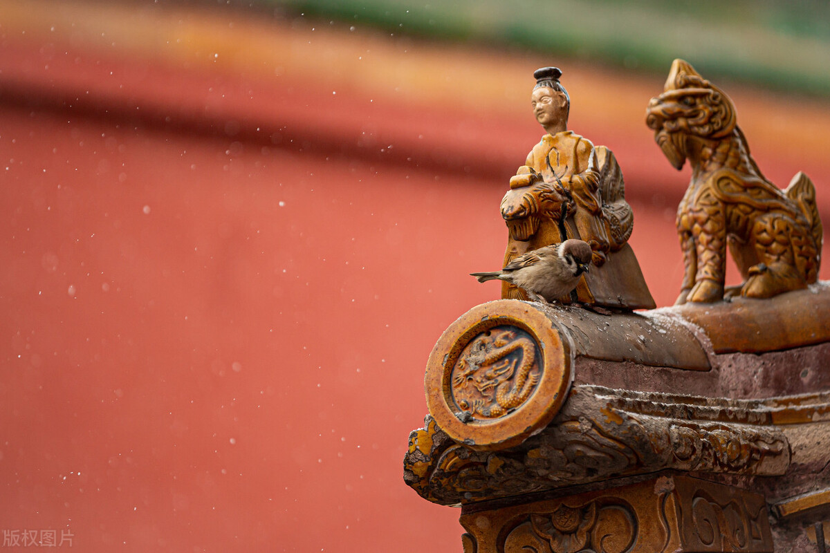 慈禧和丽嫔,慈禧太后怎么处置丽妃