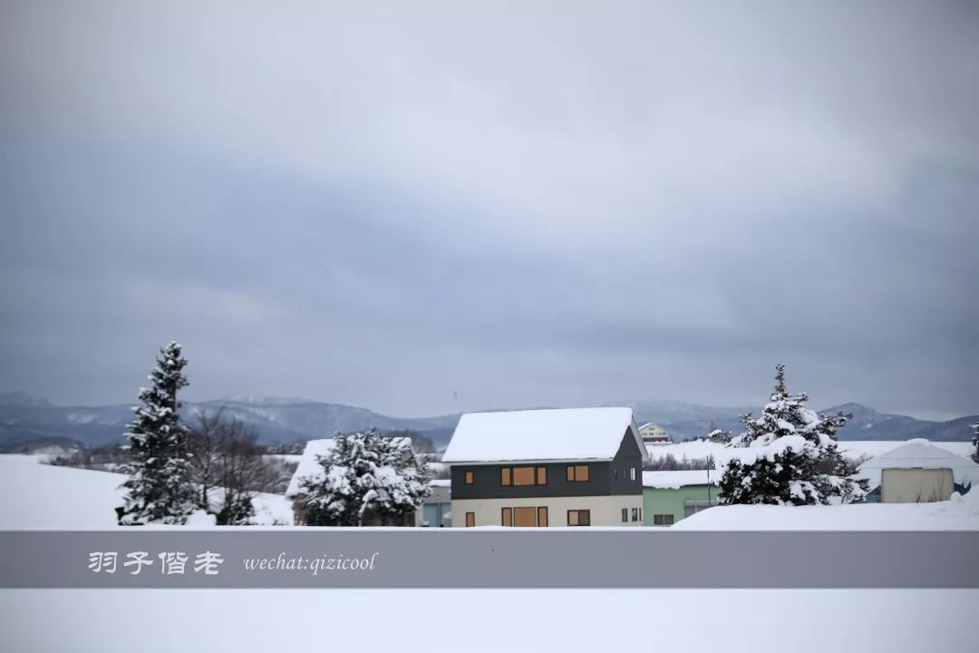 老实说,这一趟北海道就是为了拍好看的照片去的