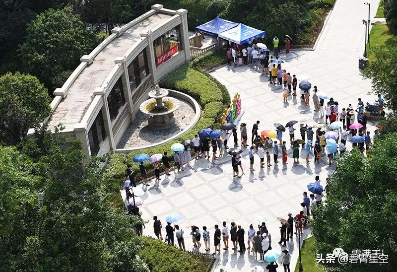 红袖标——最美的风景