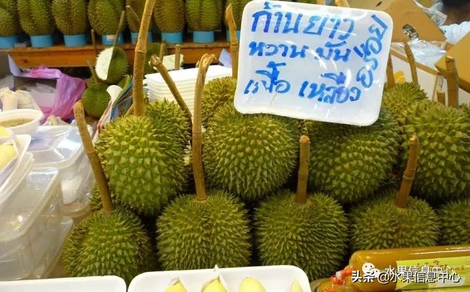 泰国最好的榴莲是什么榴莲,泰国榴莲与越南榴莲