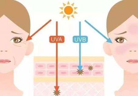 紫外线杀菌怎么杀的,紫外线怎么杀死支原体