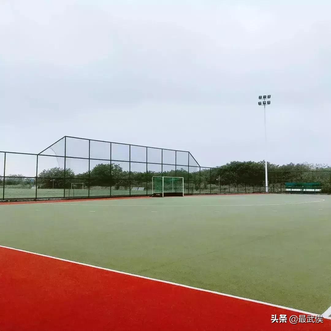 成都世警会比赛时间表,成都世警会比赛视频直播