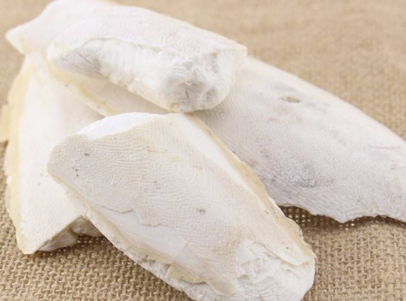 海螵蛸如何用可以起到止血效果,海螵蛸功效速记口诀