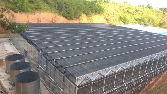 种植温室大棚一亩多少钱,四川玻璃温室大棚多少钱一平方米