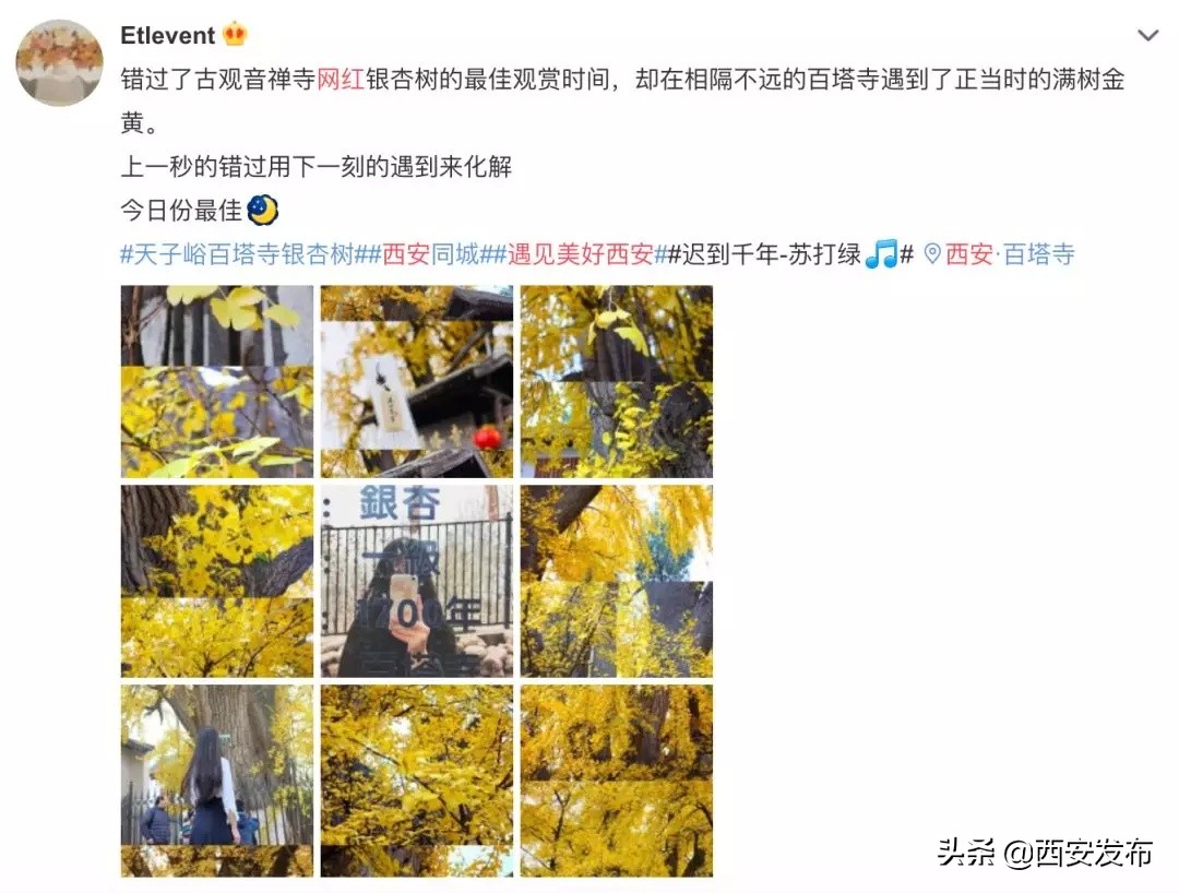 话题阅读量最多,话题阅读量破50