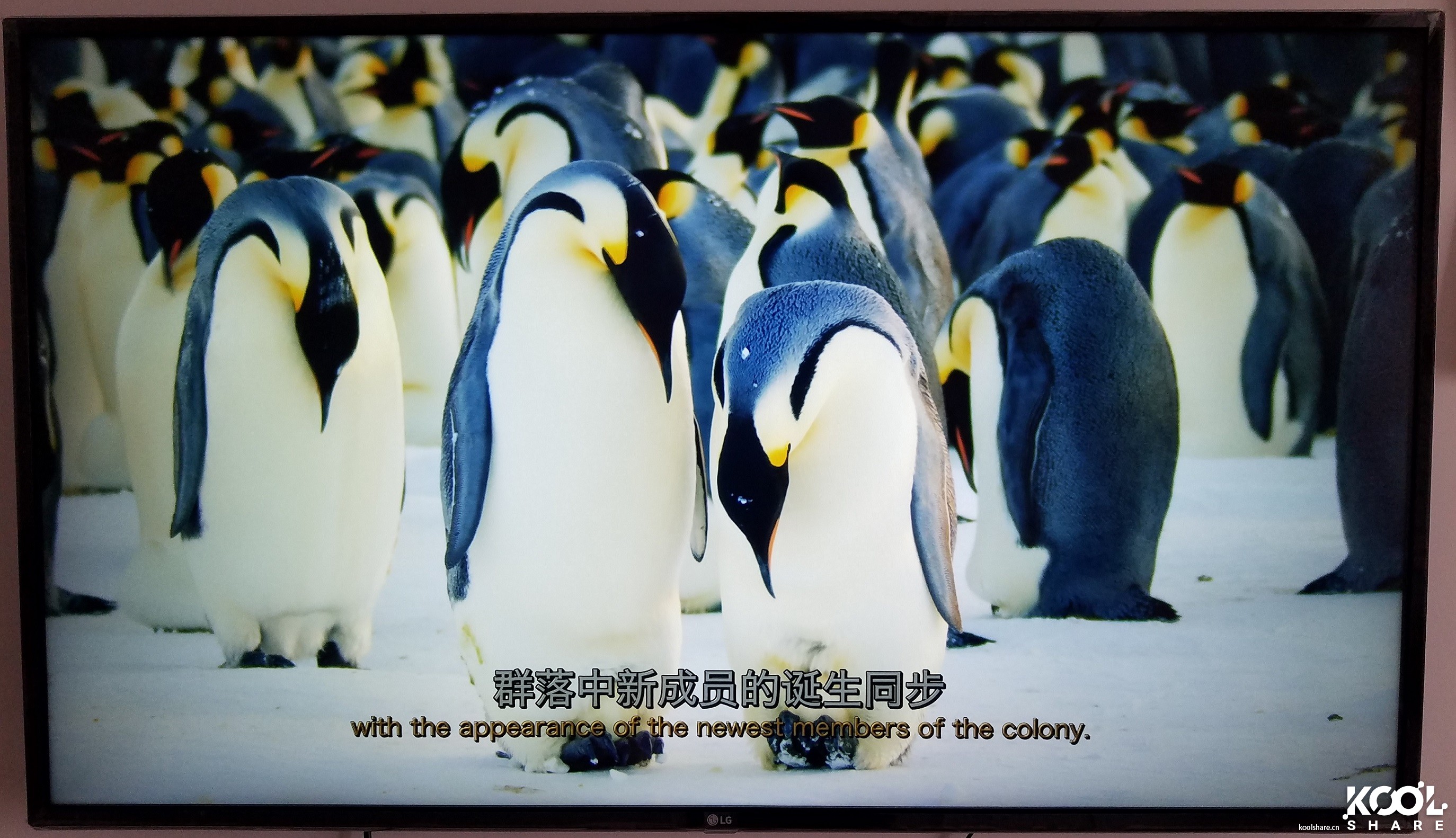 appletv4k开箱设置,appletvinfuse使用教程