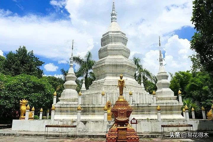 佛教为什么有五树六花,佛教中的五树六花图片