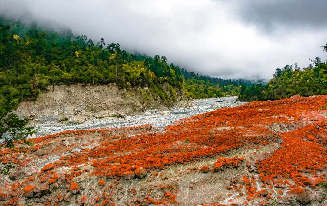 情歌故乡，格萨尔王故里，不去*藏西**就去梦中的香巴拉