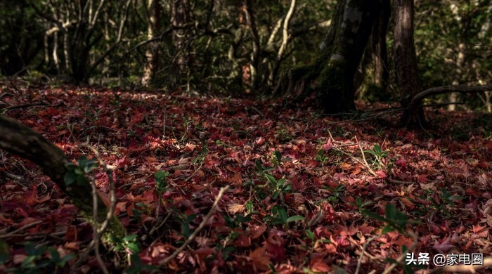 三洋惠而浦洗衣机还有生产吗,惠而浦洗衣机与三洋洗衣机