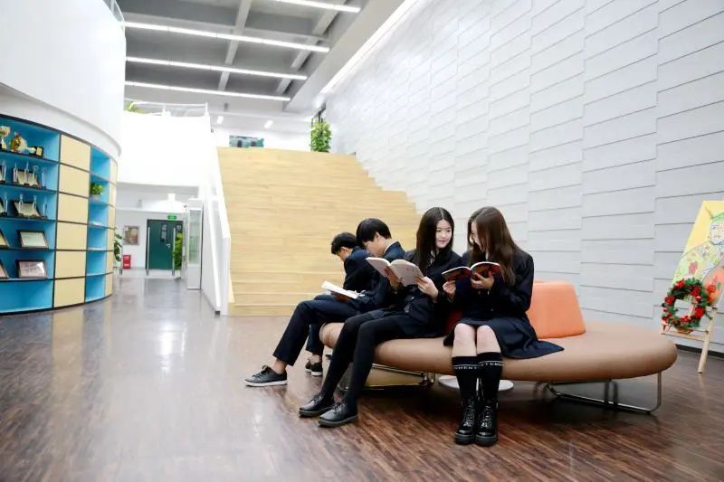 投资10亿，坐标布吉，这是一所被低估的宝藏学校