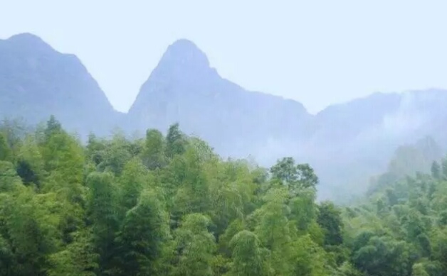 广州高峰排行榜前十名,广东适合爬十大高峰