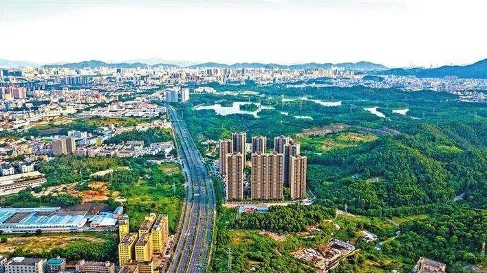 牛产业助推乡村振兴,牛产业发展规划