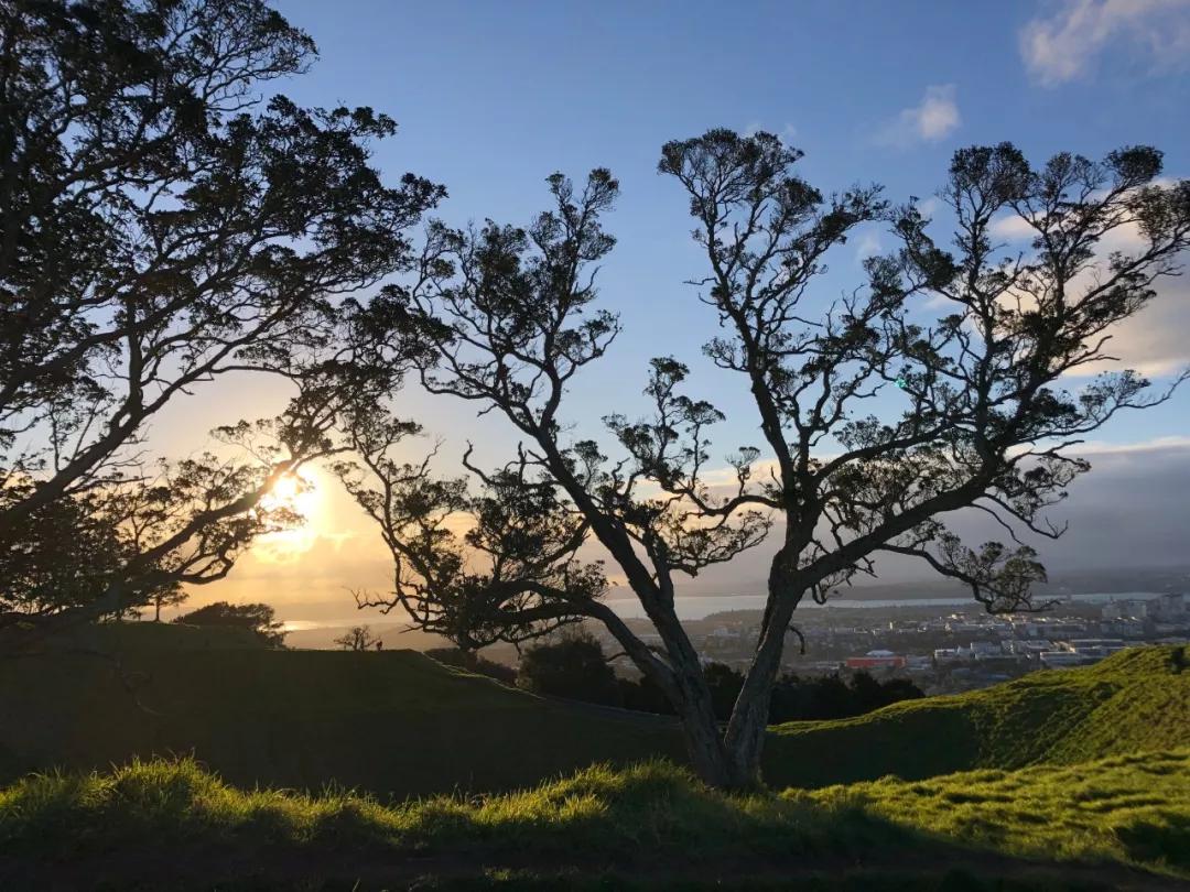 奥克兰旅居生活,新西兰打工旅行每日一记