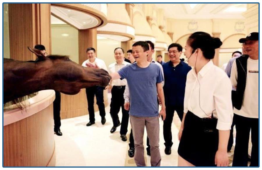 海澜之家为啥不效仿优衣库模式,海澜之家与优衣库相比差了什么