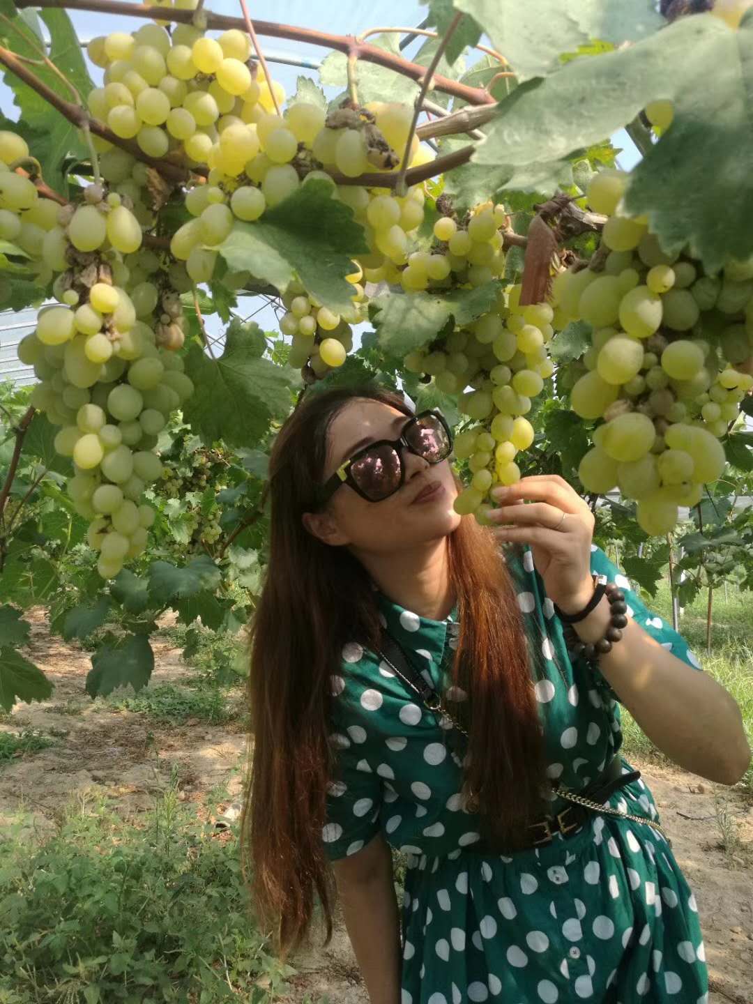 高中英语必背100个易错知识点,高中英语易错题大全