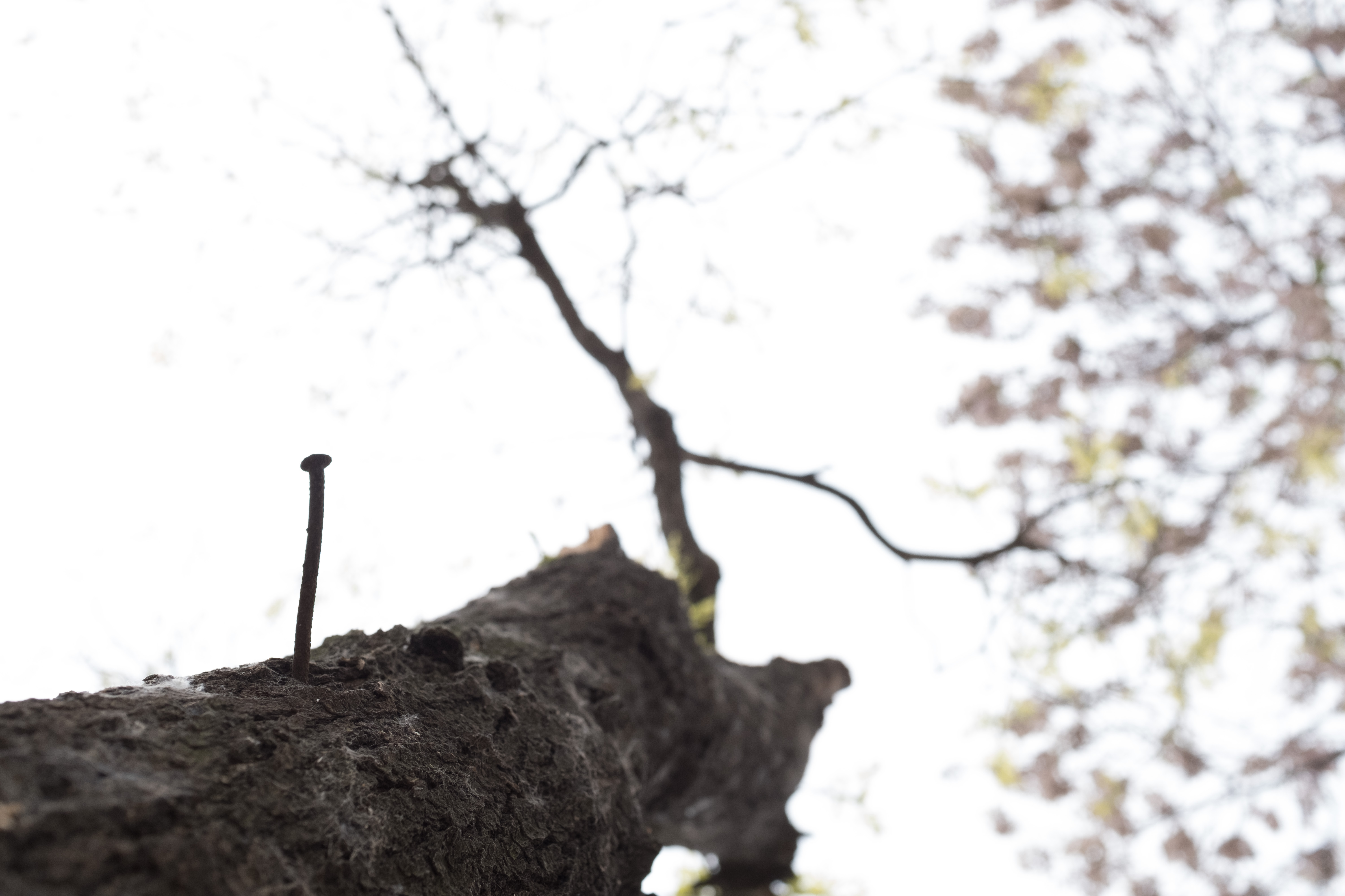 母女俩异地上学父亲留守,农村父母的真实故事图片