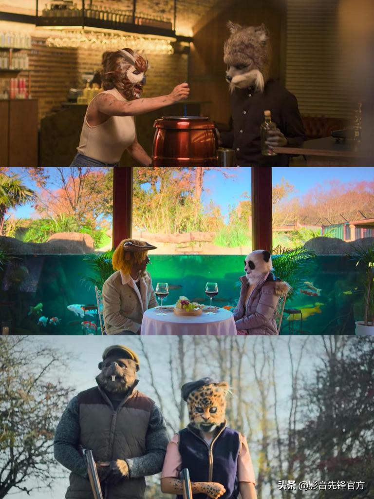 跨种族相亲,跨越种族相亲讲的什么